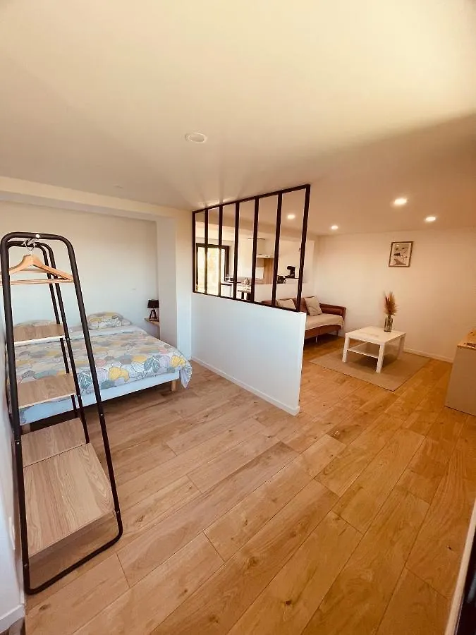 Appartement T1 Bis Renove Au Centre D'Auch Auch